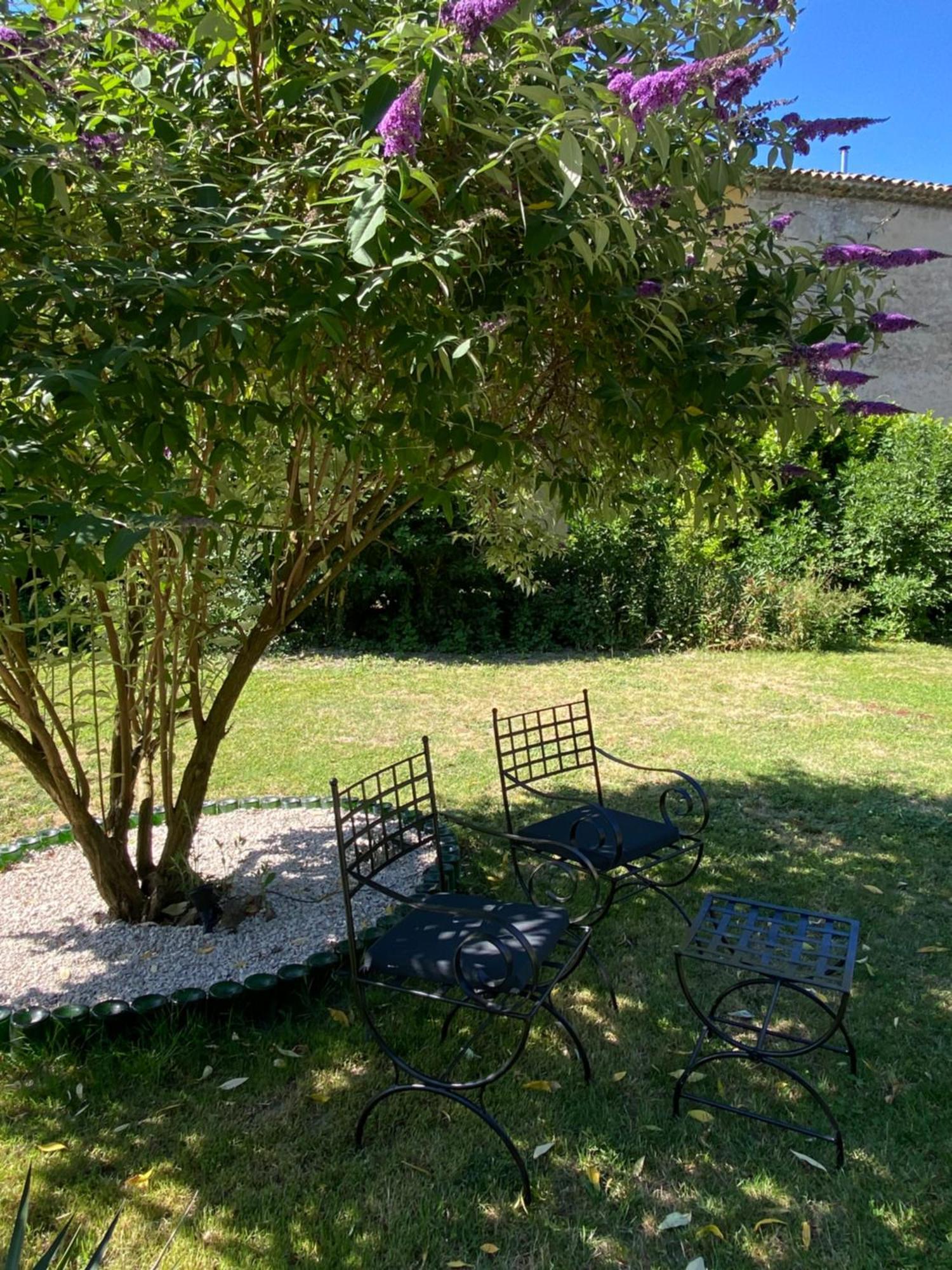 Appartement Les Cypres De L'Ile Avignon Exteriör bild